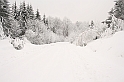 Bieszczady 12.2007 001